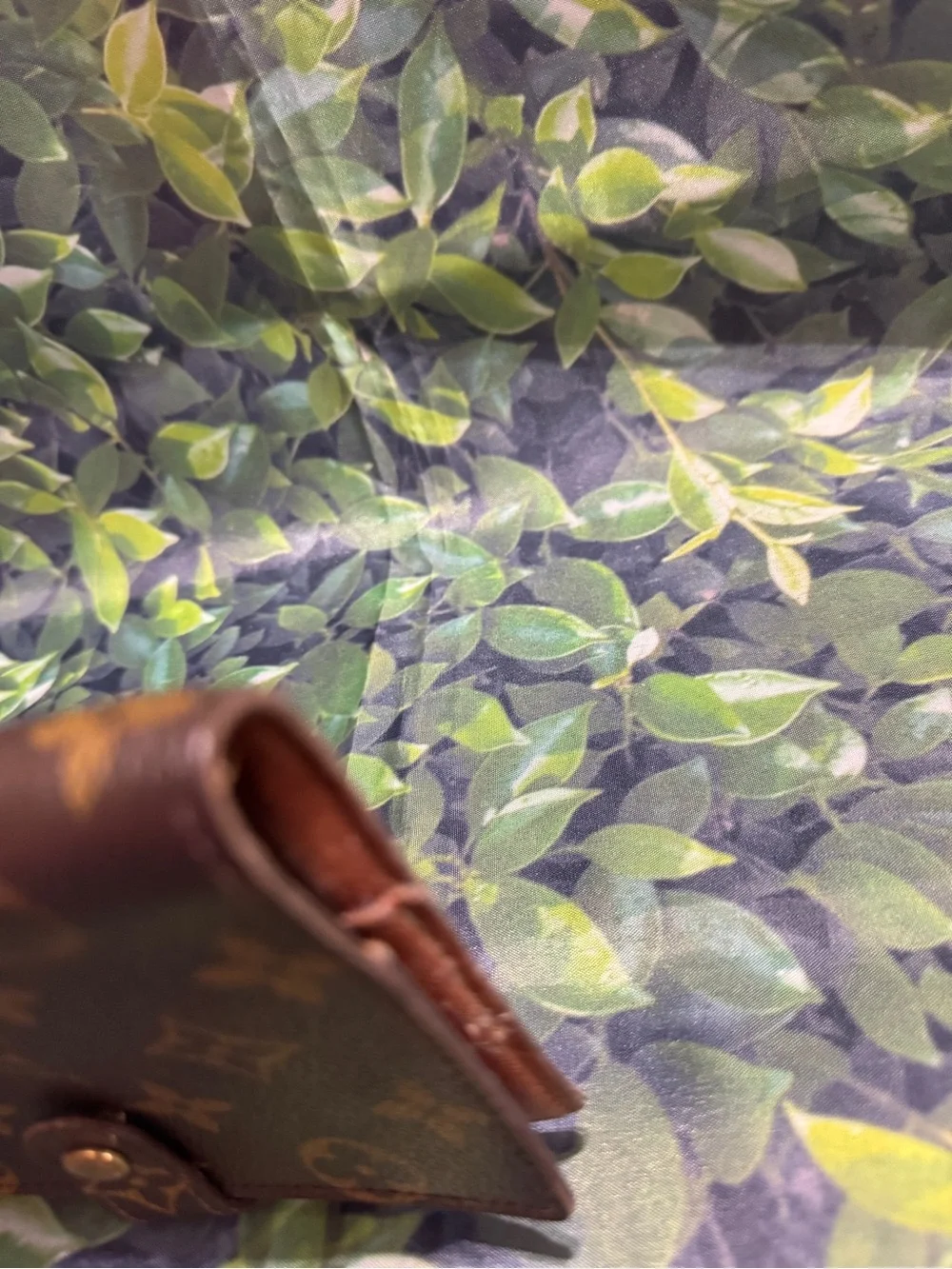 Louis Vuitton authentic louis